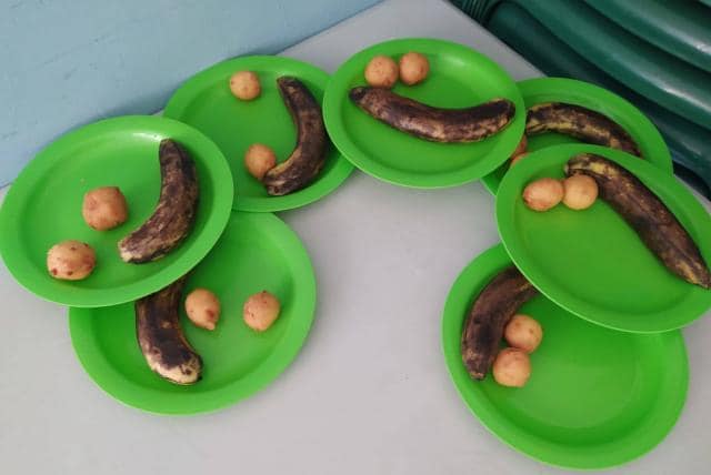 Este es el complemento alimentario que se entrega en algunas partes. Los nuevos ricos del PAE.