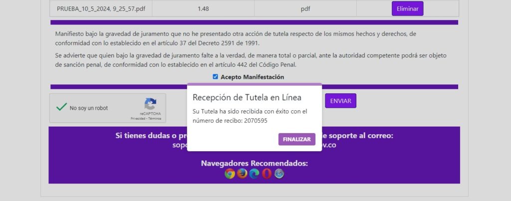 La tutela contra el CNE se fundamenta en la falta de competencia para investigar al presidente