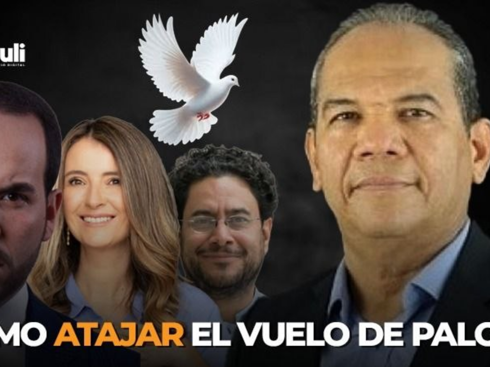 Atajar el vuelo de Paloma: Pacto Amplio Progresista