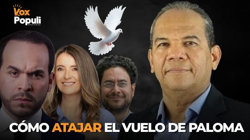 Atajar el vuelo de Paloma: Pacto Amplio Progresista
