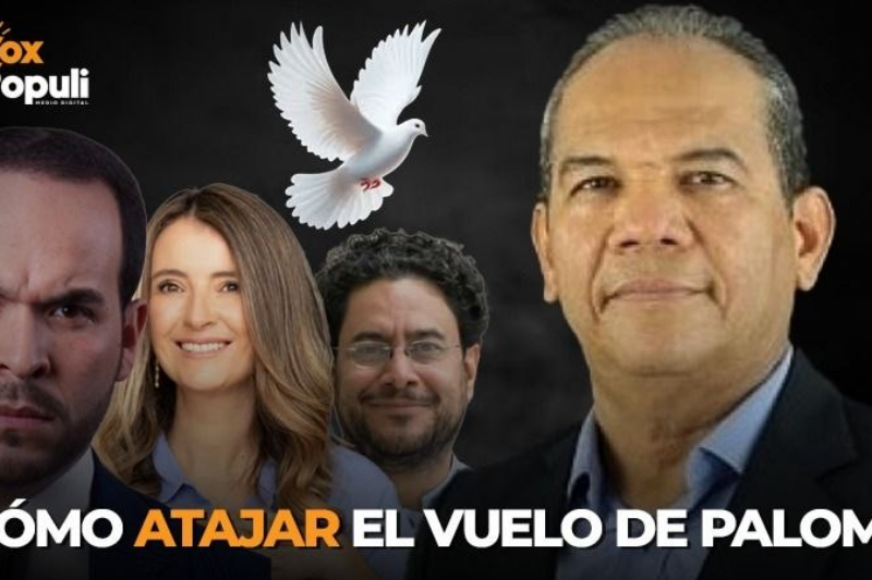 Atajar el vuelo de Paloma: Pacto Amplio Progresista