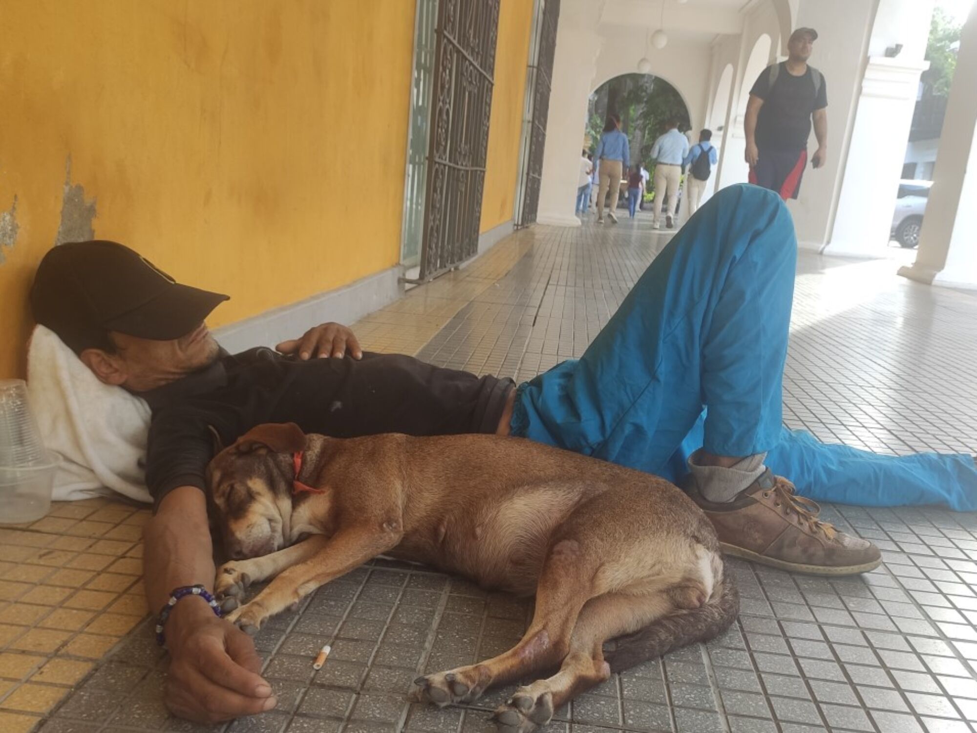 Los 15 pretendientes de una ciudad líquida (I)
