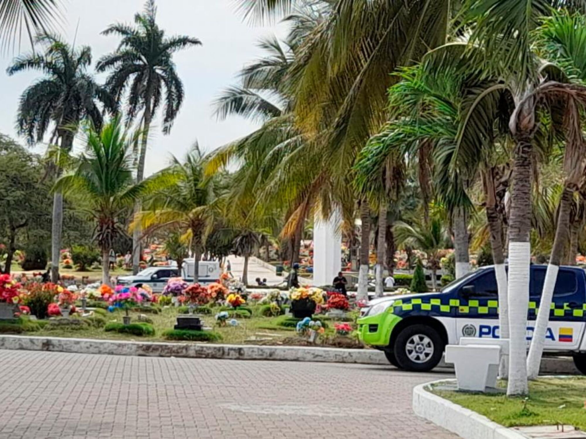 En Cartagena: Guerra entre El Golfo y «Cartel de los sapos»