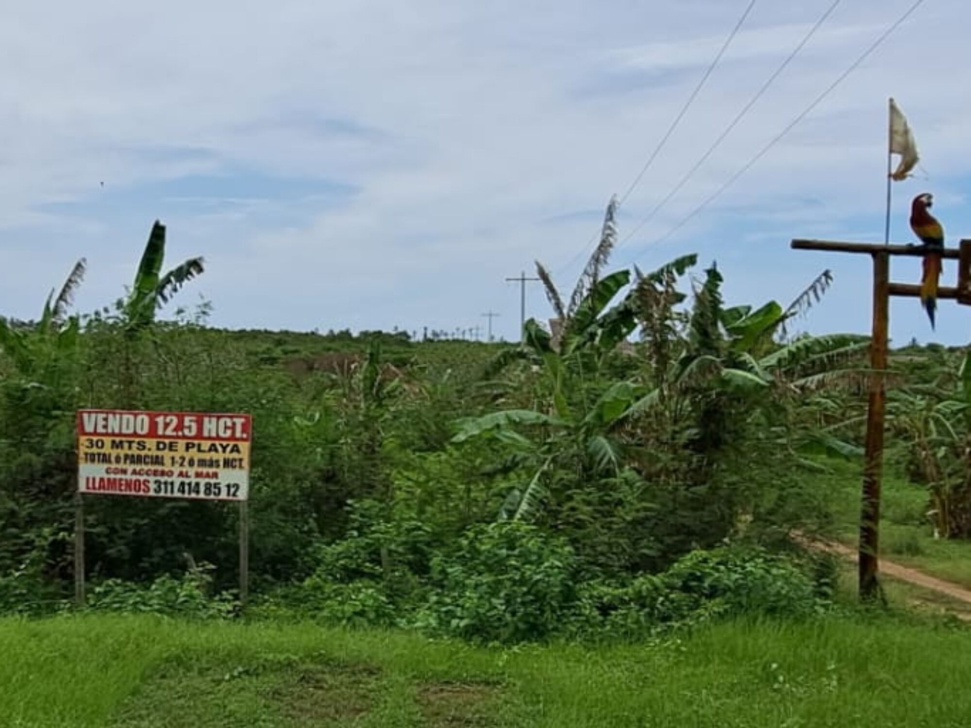 Venden tierra despojada ¡Cuidado!  (II)